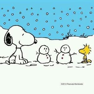 Meet your Posher, Cathy